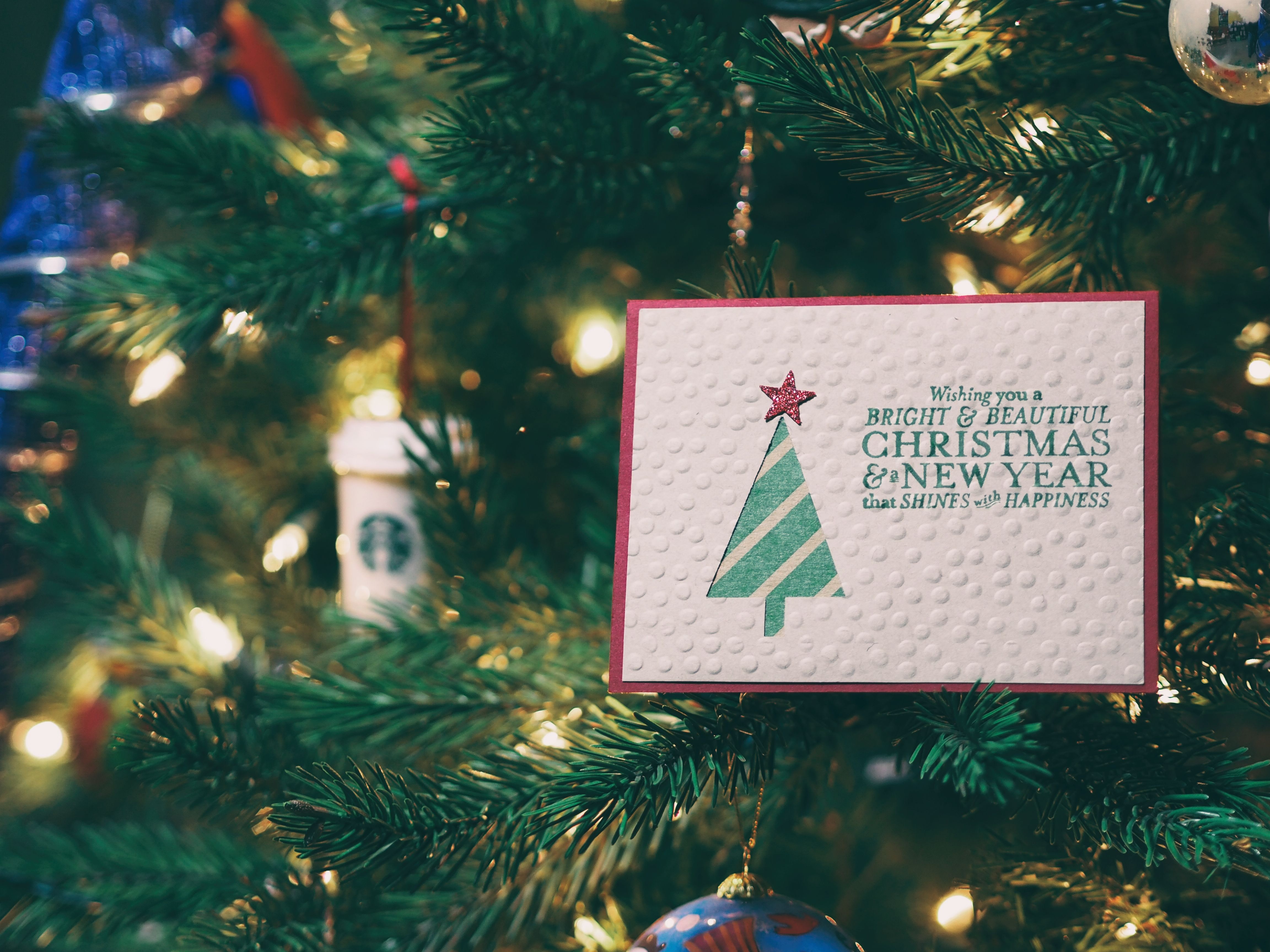 Christmas card in a tree