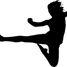 Teach girls martial arts